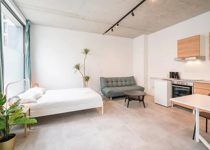 Opera Apartments In The Center Of Antwerp