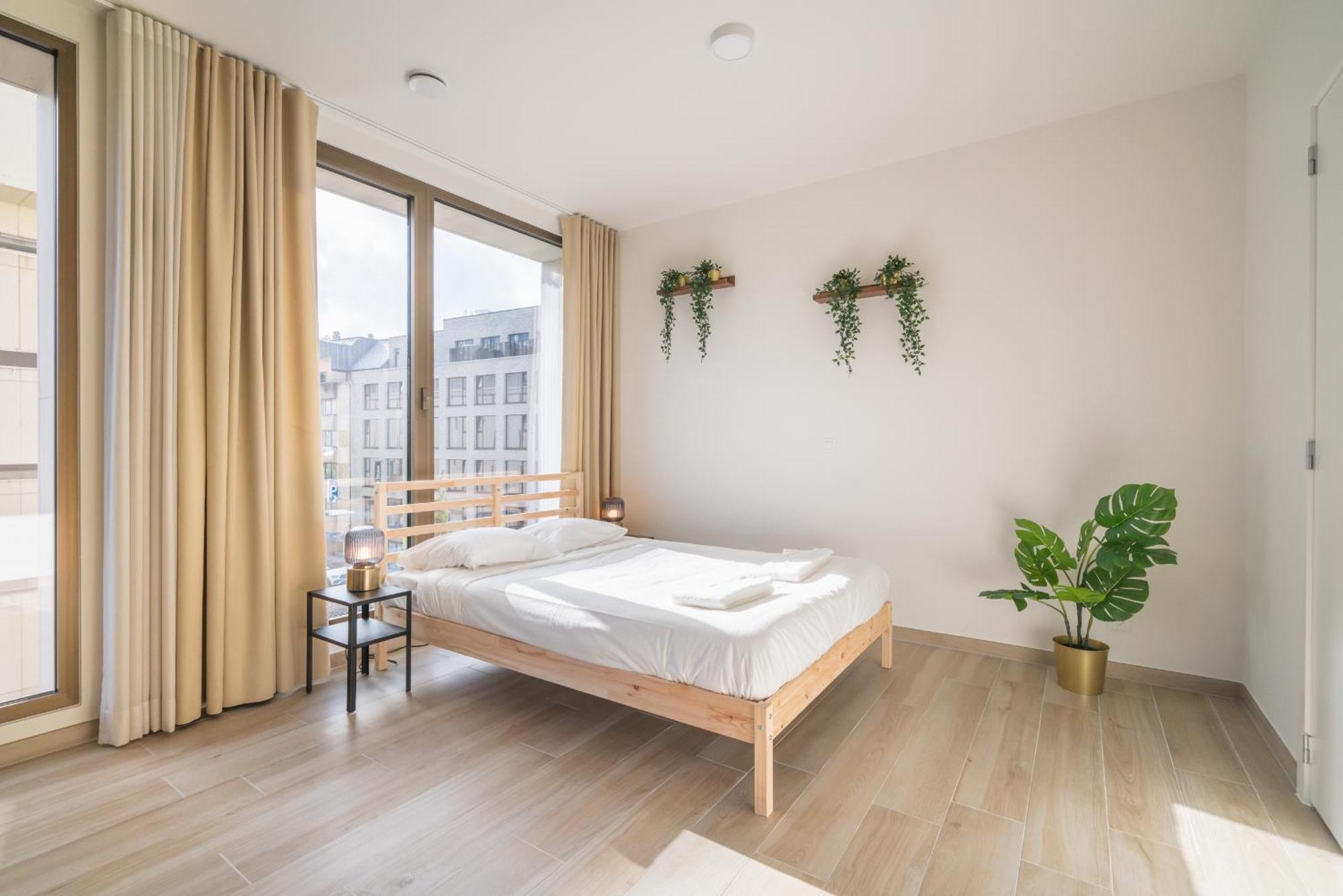 Opera In The Center Of Apartment Antwerp